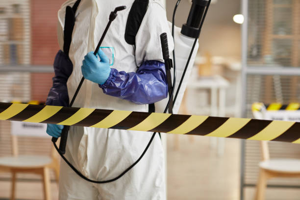 Professional Hoarding Cleanup technician working in Franktown, CO